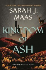 Kingdom of Ash hind ja info | Fantaasia, müstika | kaup24.ee