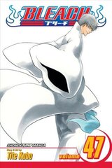 Bleach, Vol. 47: End of the Chrysalis Age, 47 hind ja info | Fantaasia, müstika | kaup24.ee