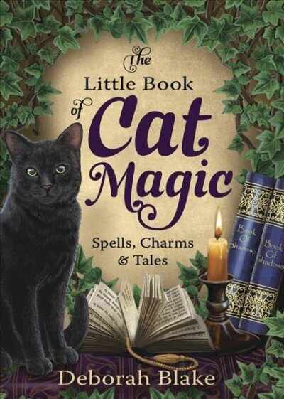 Little Book of Cat Magic: Spells, Charms and Tales цена и информация | Eneseabiraamatud | kaup24.ee