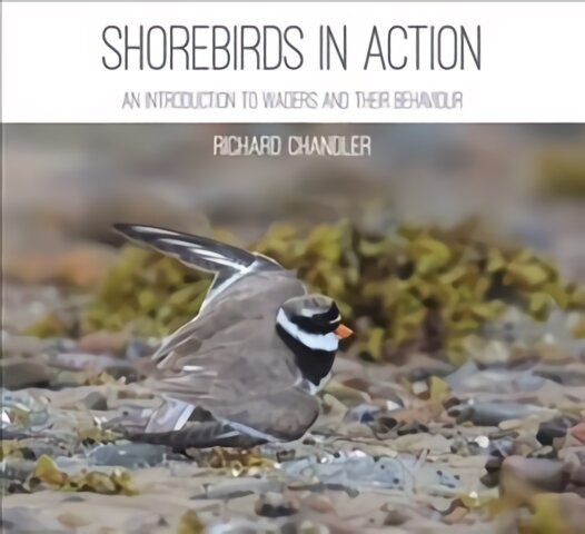 Shorebirds in Action: An Introduction to Waders and Their Behaviour цена и информация | Tervislik eluviis ja toitumine | kaup24.ee