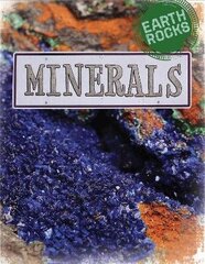 Earth Rocks: Minerals цена и информация | Книги для подростков и молодежи | kaup24.ee