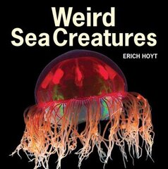 Weird Sea Creatures цена и информация | Книги для подростков и молодежи | kaup24.ee