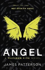 Angel: A Maximum Ride Novel: (Maximum Ride 7) hind ja info | Noortekirjandus | kaup24.ee