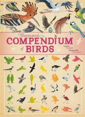 Illustrated Compendium of Birds Illustrated edition hind ja info | Noortekirjandus | kaup24.ee
