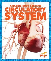 Circulatory System hind ja info | Väikelaste raamatud | kaup24.ee