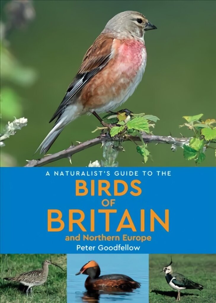 Naturalist's Guide to the Birds of Britain and Northern Europe (2nd edition) 2nd Revised edition цена и информация | Entsüklopeediad, teatmeteosed | kaup24.ee