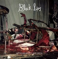 Blacklips: Her Life and Her Many, Many Deaths цена и информация | Книги об искусстве | kaup24.ee