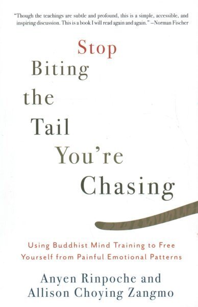 Stop Biting the Tail You're Chasing: Using Buddhist Mind Training to Free Yourself from Painful Emotional Patterns hind ja info | Usukirjandus, religioossed raamatud | kaup24.ee
