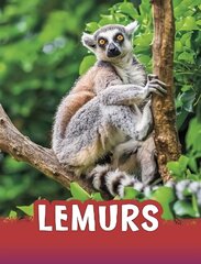 Lemurs hind ja info | Entsüklopeediad, teatmeteosed | kaup24.ee