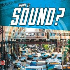 What Is Sound? цена и информация | Книги для подростков и молодежи | kaup24.ee