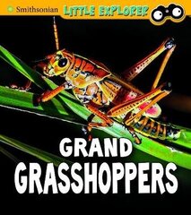 Grand Grasshoppers hind ja info | Noortekirjandus | kaup24.ee