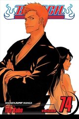 Bleach, Vol. 74: The Death and the Strawberry hind ja info | Fantaasia, müstika | kaup24.ee