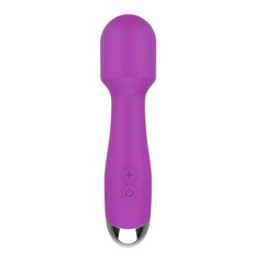 Masseerija, usb, lilla hind ja info | Vibraatorid | kaup24.ee