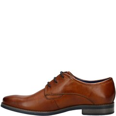 Комфортные туфли для мужчин BUGATTI цена и информация | Мужские ботинки | kaup24.ee