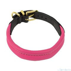 Кожаный ошейник Amibelle, розовый цвет цена и информация | Ошейники, подтяжки для собак | kaup24.ee