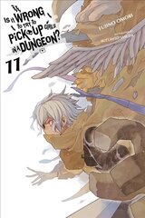 Is It Wrong to Try to Pick Up Girls in a Dungeon?, Vol. 11 (light novel) цена и информация | Фантастика, фэнтези | kaup24.ee
