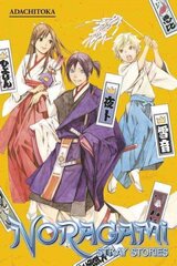 Noragami: Stray Stories 1 hind ja info | Fantaasia, müstika | kaup24.ee