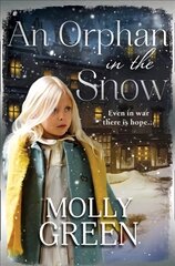 Orphan in the Snow: The Heart-Warming Saga You Need to Read This Year ePub edition цена и информация | Фантастика, фэнтези | kaup24.ee