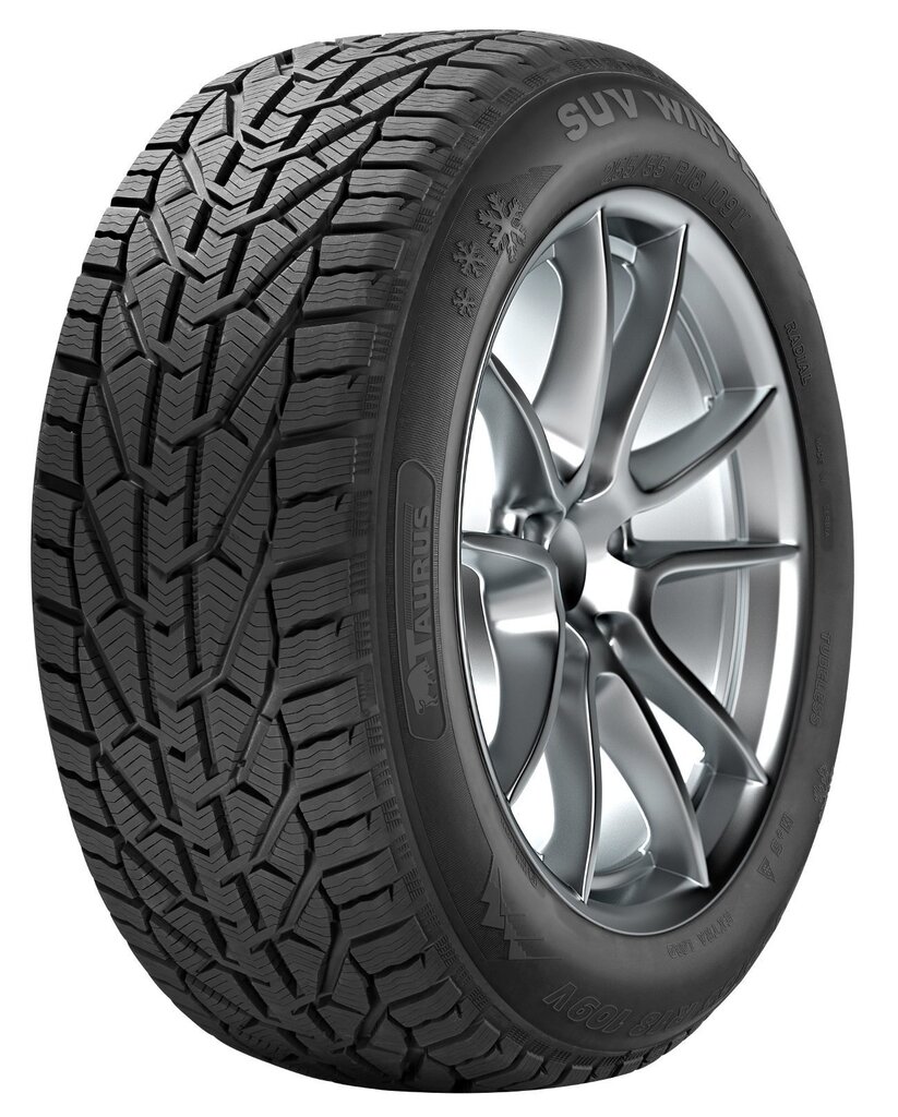 Taurus SUV Winter 245/45R18 100 V XL цена и информация | Talverehvid | kaup24.ee