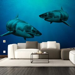 Фотообои с изображением акул Обои с подводным морским эффектом Декор интерьера  - 390 х 280 см цена и информация | Декоративные наклейки | kaup24.ee