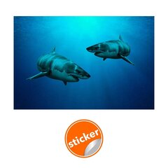 Фотообои с изображением акул Обои с подводным морским эффектом Декор интерьера  - 390 х 280 см цена и информация | Декоративные наклейки | kaup24.ee