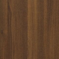 vidaXL kohvilaud, pruun tamm, 100 x 60 x 42 cm, tehispuit hind ja info | Diivanilauad | kaup24.ee