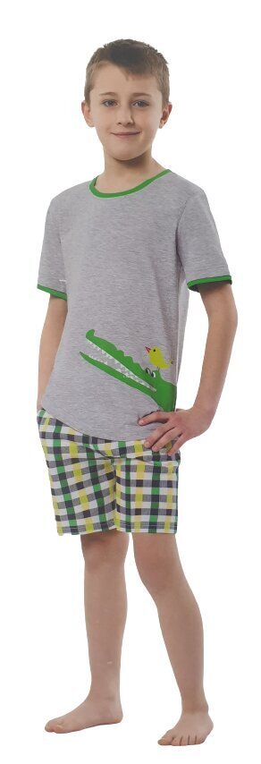 Poiste pidžaama Envie Crocodile hind ja info | Poiste hommikumantlid ja pidžaamad | kaup24.ee