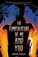 Temperature Of Me And You цена и информация | Книги для подростков и молодежи | kaup24.ee