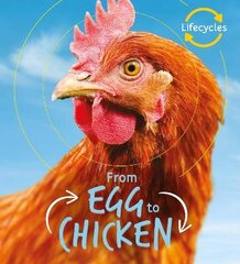 Lifecycles: Egg to Chicken цена и информация | Книги для подростков и молодежи | kaup24.ee