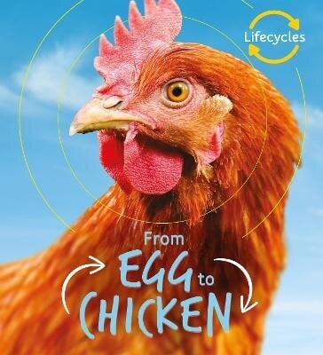 Lifecycles: Egg to Chicken цена и информация | Noortekirjandus | kaup24.ee