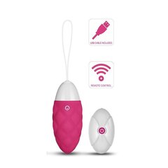 Vibreeriv muna IJoy kaugjuhtimispult USB, roosa hind ja info | Vibraatorid | kaup24.ee