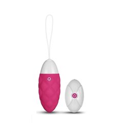Vibreeriv muna IJoy kaugjuhtimispult USB, roosa цена и информация | Вибраторы | kaup24.ee