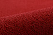 Vaip Eton 120 punane 70x300 cm hind ja info | Vaibad | kaup24.ee