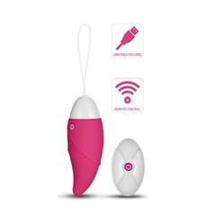 Vibreeriv muna iJoy, kaugjuhtimispult, USB, roosa hind ja info | Vibraatorid | kaup24.ee
