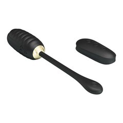 Kegel-pall kaugjuhtimispuldiga Royal Pleasure hind ja info | Vaginaalkuulid | kaup24.ee