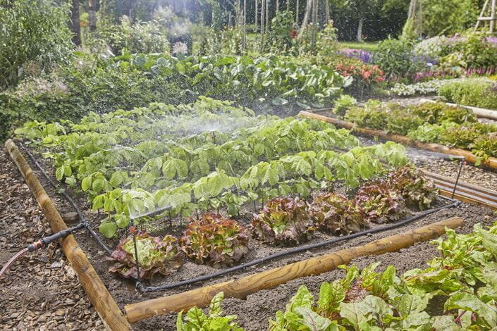 Kastmissüsteem köögiviljade/lillepeenarde kastmiseks Gardena Micro-Drip-System, 60 m² hind ja info | Kastekannud, voolikud, niisutus | kaup24.ee