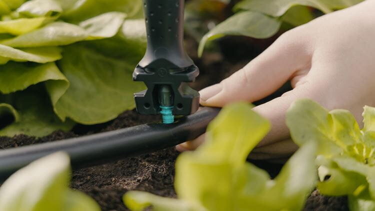 Kastmissüsteem köögiviljade/lillepeenarde kastmiseks Gardena Micro-Drip-System, 60 m² hind ja info | Kastekannud, voolikud, niisutus | kaup24.ee