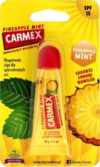 Защитный бальзам для губ Carmex Pineapple Mint, 10 г цена и информация | Помады, бальзамы, блеск для губ | kaup24.ee