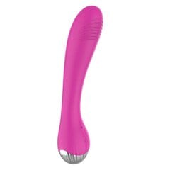 Vibraator Vibe 6 USB Pink hind ja info | Vibraatorid | kaup24.ee