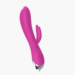 Vibraator Dolphin Vibe 6 vibratsioonifunktsiooniga USB Pink hind ja info | Vibraatorid | kaup24.ee