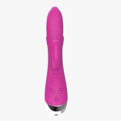 Vibraator Dolphin Vibe 6 vibratsioonifunktsiooniga USB Pink hind ja info | Vibraatorid | kaup24.ee