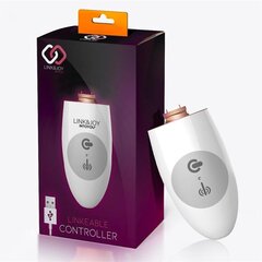 Kontroller USB hind ja info | Vibraatorid | kaup24.ee