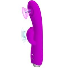 Vibraator Regina Vibe ja Wave Functions USB Silicone Purple hind ja info | Vibraatorid | kaup24.ee