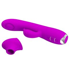 Vibraator Regina Vibe ja Wave Functions USB Silicone Purple hind ja info | Vibraatorid | kaup24.ee