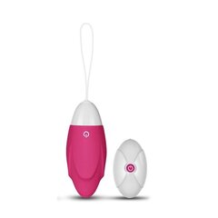 Vibreeriv muna IJoy, kaugjuhtimispult, USB, roosa hind ja info | Vibraatorid | kaup24.ee