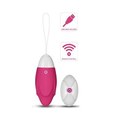 Vibreeriv muna IJoy, kaugjuhtimispult, USB, roosa цена и информация | Вибраторы | kaup24.ee