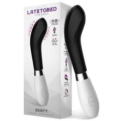 Benty Vibe Silicone Black цена и информация | Вибраторы | kaup24.ee