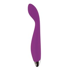 No. Ten G-Spot Hyper-Flexible Vibe Magnetic USB Silicone цена и информация | Вибраторы | kaup24.ee