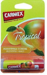 Huulepalsam Carmex Tropical, 4,25g цена и информация | Помады, бальзамы, блеск для губ | kaup24.ee