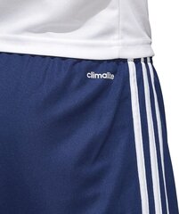 Jalgpallipüksid Adidas Squadra 17, XXXL hind ja info | Jalgpalli varustus ja riided | kaup24.ee